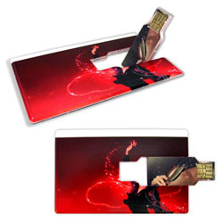 Credit Card USBs,